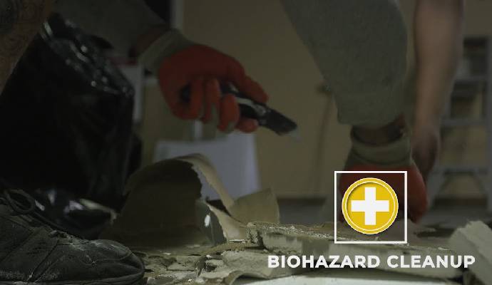 Biohazard Cleanup & Repair in Morgantown, WV | Crossroads