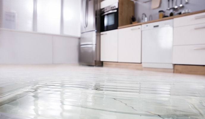 Identifying The Signs Of Water Damage