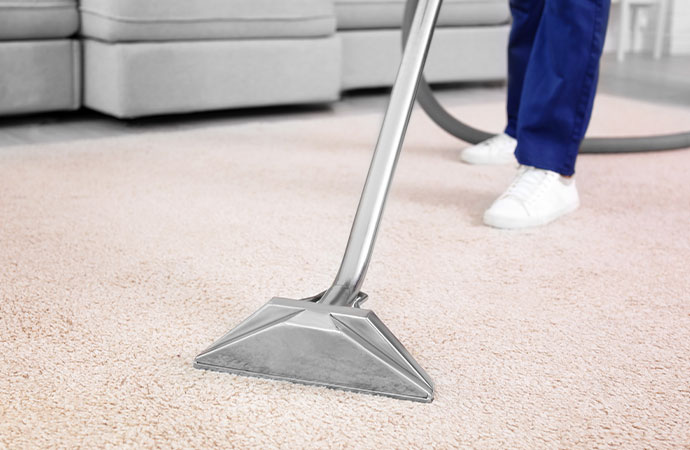 Professional Carpet Cleaning