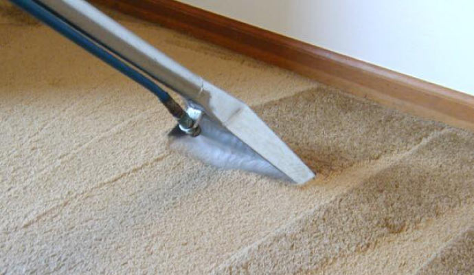 Professional Carpet Cleaning Service in Morgantown