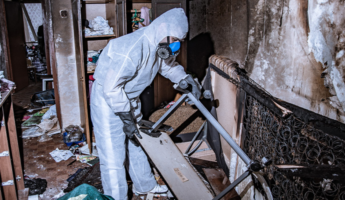 Professional worker removing smoke odor