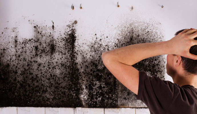 black mold on the wall