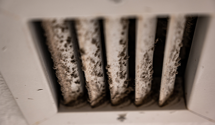 Close-up of a moldy HVAC vent