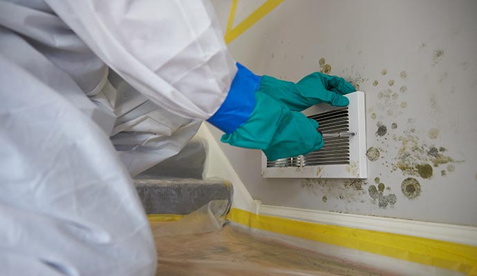 Moldy vent inspection Moldy vent inspection