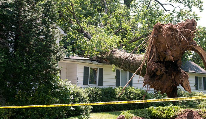 Wind Damage Restoration in Morgantown & Bridgeport | Crossroads