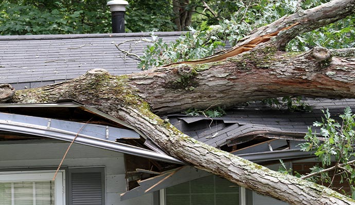 a roof damaged by the aftermath of a heavy storm