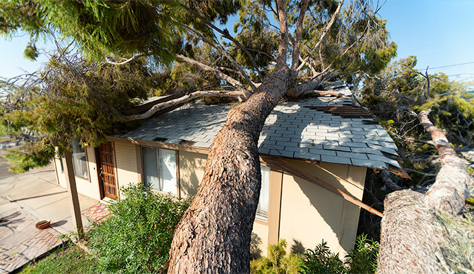 Storm Damage Cleanup and Restoration