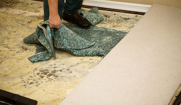 Water Damage Cleanup For Carpets